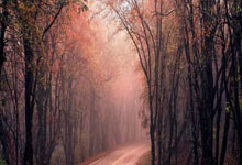 伯利谈建球场：必须从长远考虑，这是我与其他股东继续合作的关键.