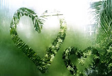 米兰体育：三井住友女子高球赛吉田优利大赢9杆 石昱婷T13.